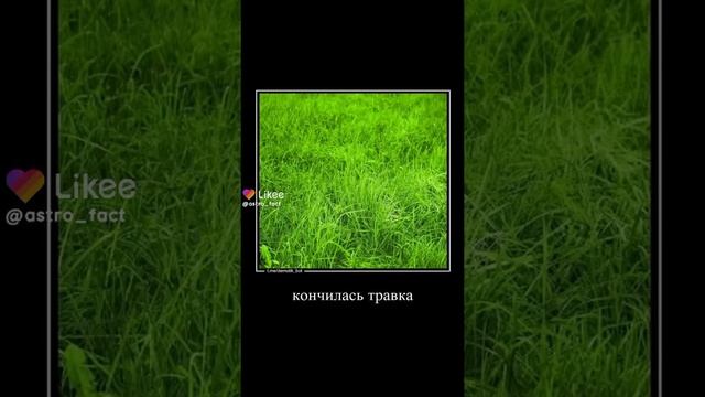 бедный ёжик смотреть онлайн