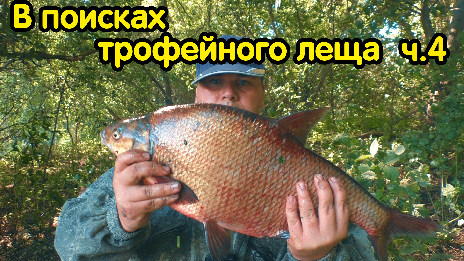 КРУПНЫЙ ЛЕЩ на фидер!!! Таких огромных лещей еще не ловил!!! Фидер на реке смотреть онлайн