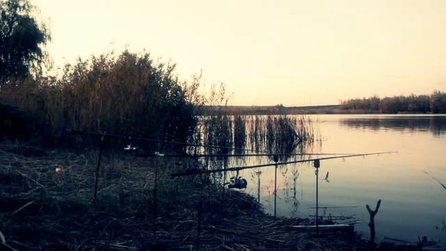 Рыбалка 2012 смотреть онлайн