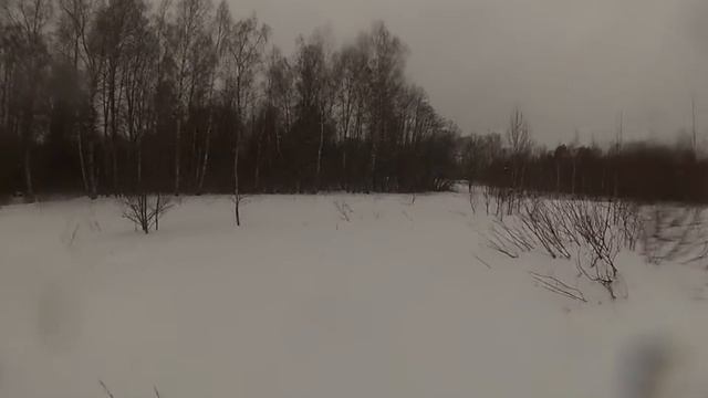 Первопрохождение по снежной целине из деревни Толпино до старицких пещер Ледяная и Лисичка смотреть онлайн