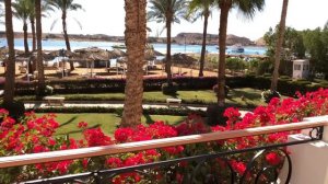 Обзор отеля Iberotel Palace 5* в Шарм-Эль-Шейхе.  Запорожская Анна