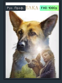 Моя собака герой. 2021 Драма Трейлер смотреть онлайн