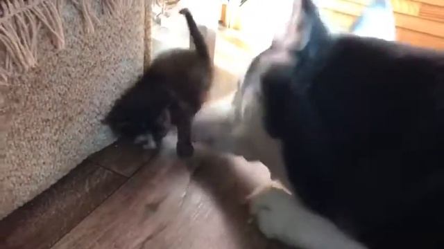 «побег из Шоушенка» смотреть онлайн