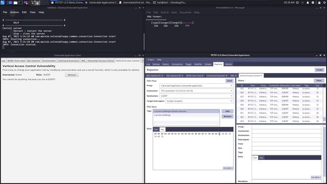 PETEP - Tutorial (TCP Proxy for Hacking) смотреть онлайн
