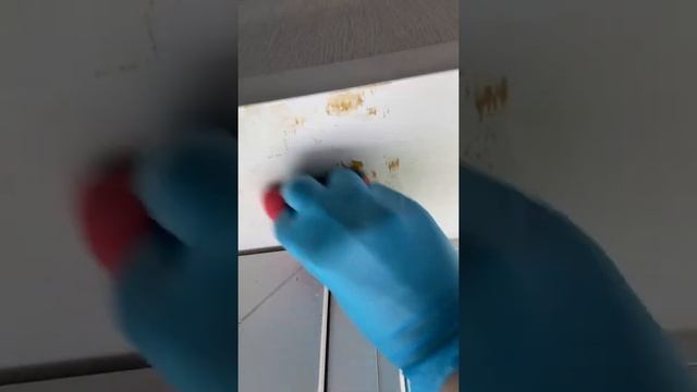 УДАЛИТЬ СЛЕДЫ ЛЮБОГО СКОТЧА ЛЕГКО смотреть онлайн