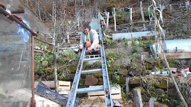 UN TOBOBOIS AU POTAGER смотреть онлайн