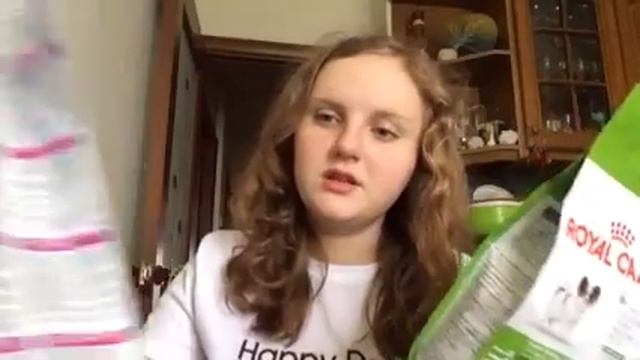 Какой сухой корм выбрать? Разбираемся с самыми популярными кормами