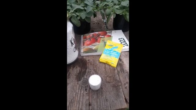 Первая подкормка томатов через неделю после высадки. смотреть онлайн