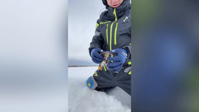 Шуруповёрт Milwaukee, бурим лёд не напрягаясь! Ловим окунька дружной компанией! смотреть онлайн