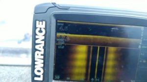 РЫБА НА ЭХОЛОТЕ.  Как видит рыбу Lowrance Elite-7 Ti2