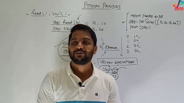 Class 12 Python Pandas | Indexing | Slicing | Manipulating | Series Object | In Hindi смотреть онлайн