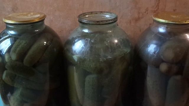 Запас солёных огурцов на зиму. смотреть онлайн