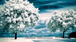 Белая книга зимы