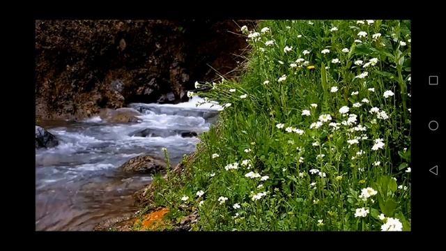 МЕДИТАЦИЯ ОЧИЩЕНИЯ ОТ НЕГАТИВНЫХ ПРОГРАММ. смотреть онлайн