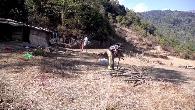 manjita cooking chayote roots смотреть онлайн