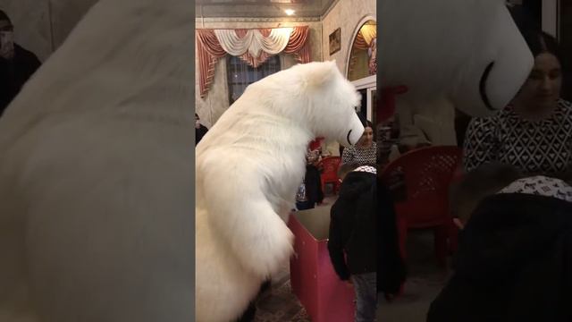 Белый мишка пришёл поздравить девочку с днём рождения 🎁 смотреть онлайн