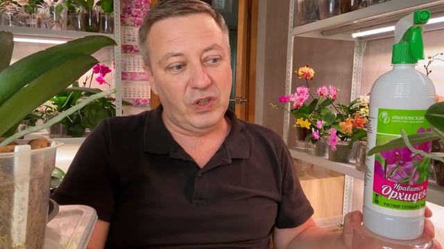 РЕДКИЙ ЧУДО СПРЕЙ для ОРХИДЕЙ / как корни и цветоносы орхидей растут в КОРЕ ДУБА смотреть онлайн