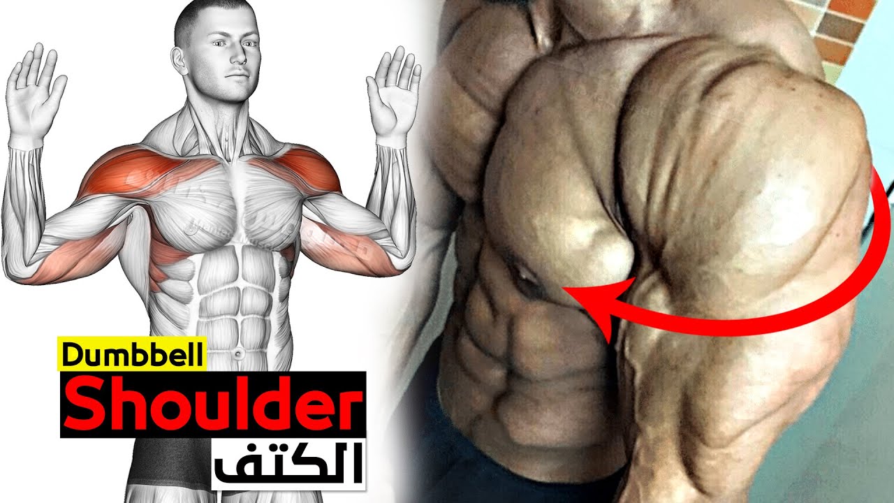 ЛУЧШИЕ 6 УПРАЖНЕНИЙ ДОЛЖНЫ СТРОИТЬ [ДАМБЕЛЛ - БАРБЕЛЛ] смотреть онлайн