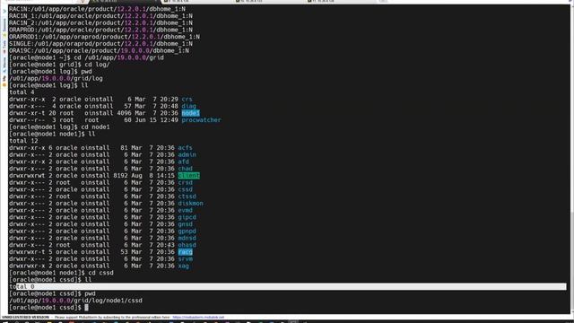 101-RAC- Clusterware and Grid Home – What You Need to Know (Doc ID 1053147.1) смотреть онлайн