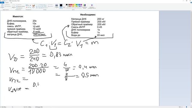 MB3. Как решать задачи на ПЦР смотреть онлайн