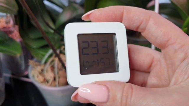 5 УСЛОВИЙ цветения орхидей ЦВЕТУЩИЕ ОРХИДЕИ результат такого ухода и полива орхидей