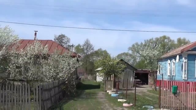 Как бы не последний раз я в кадре смотреть онлайн