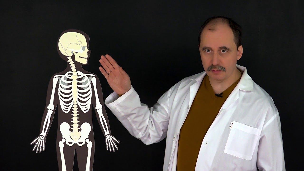 4. Повреждения опорной системы. Окружающий мир - 3 класс смотреть онлайн