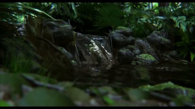 Боже будь рядом со мной, Екатерина Гордиенко смотреть онлайн