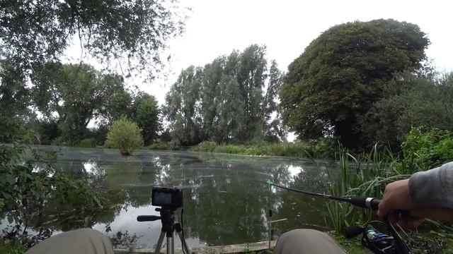 рыбалка на поплавок 2021 года ГОРОХ ИЛИ КУКУРУЗА ЧТО ЛУЧШЕ, рыбалка поплавок крупным планом смотреть онлайн