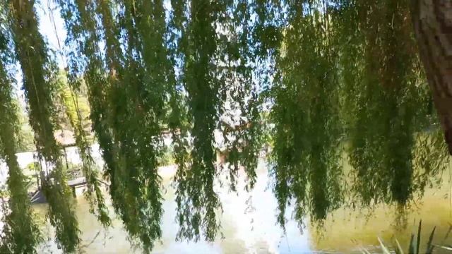 Подворье женского монастыря " Всецарица". ст. Пластуновская, Краснодарский край. смотреть онлайн