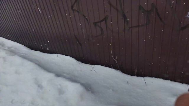 Хотела погулять по солнцу, пока оделась, пошëл снег смотреть онлайн