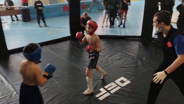 Dominator Extreme Fight 13 -75 смотреть онлайн