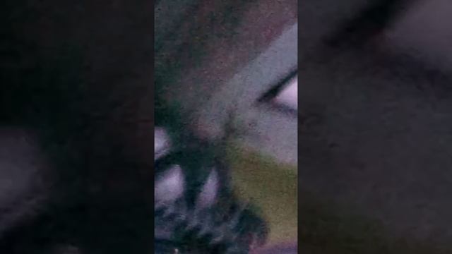 встреча с медведем на побережье кольского полуострова смотреть онлайн