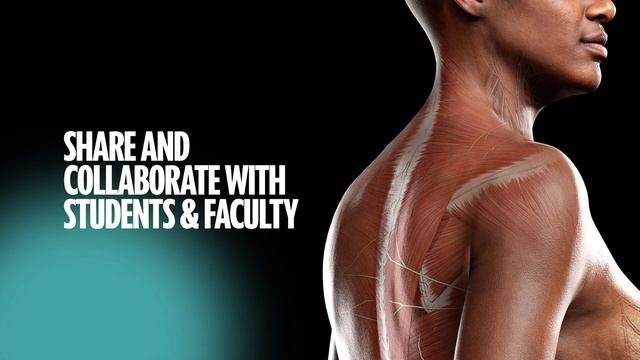 Teach anatomy from every angle with Complete Anatomy смотреть онлайн