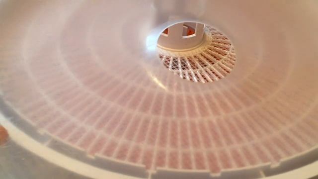 Сушим овощи для борща. Моя сушилка смотреть онлайн