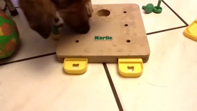 Karlie Doggy Brain Train Cube (leos)