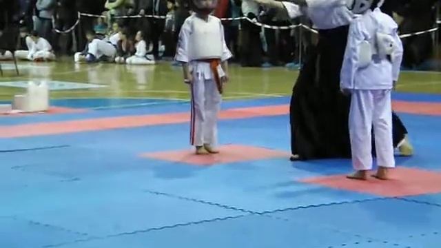 12 декабря 2015 г Донецк косики каратэ Соревнования 19 смотреть онлайн