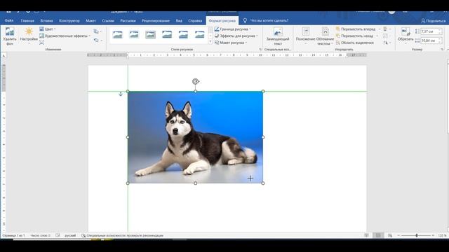 #word Как удалить фон картинки в Word и отзеркалить картинку смотреть онлайн