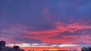 В моей душе покоя нет .