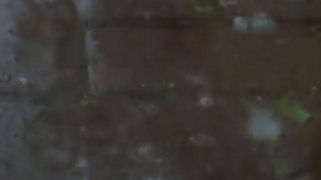extreme hagel in winschoten смотреть онлайн