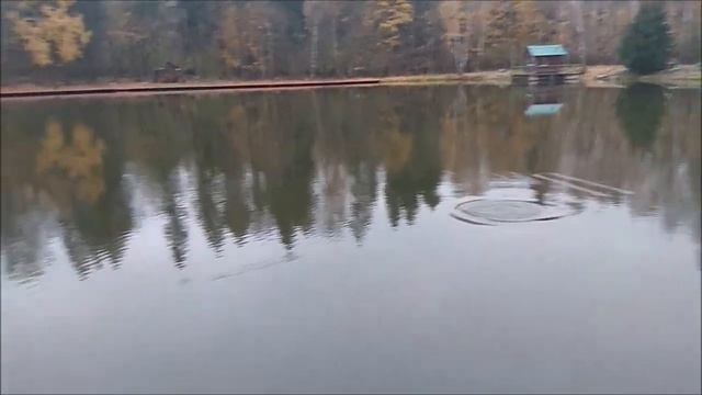 Утро на нижнем. Клёвое место, Лосиный остров. смотреть онлайн
