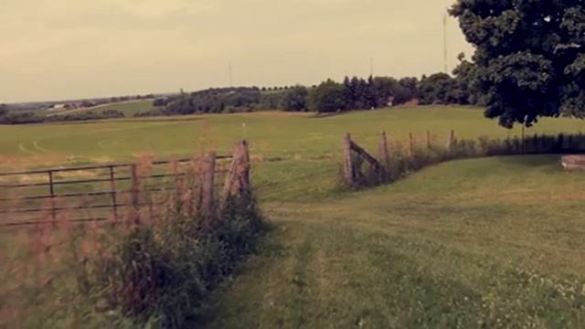 Видео фон для сайта Сельское хозяйство Обрезка 01 смотреть онлайн