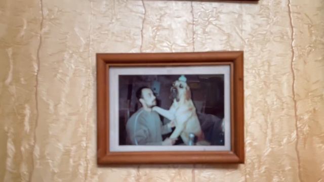 Зоя Собирается Гулять??