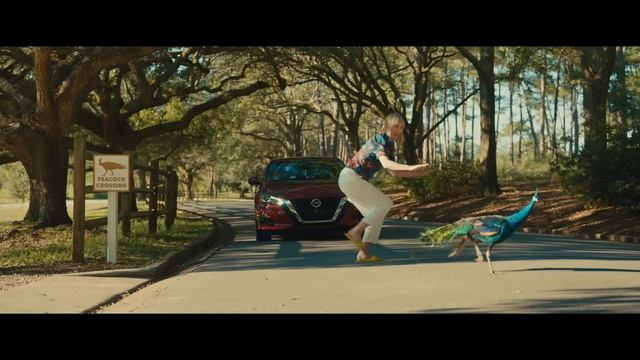 MON PÈRE ET MOI - Bande-annonce VF смотреть онлайн