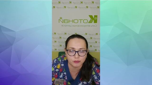 Умиротворенность в повседневной суете