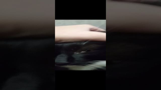 VID_20231208_194933.mp4