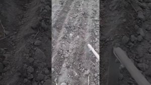 Посев лука ,  морковки, гороха и прочего с помощью плоскореза Фокина.