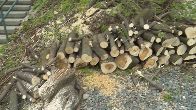 Торговый центр или стоянка - спор о судьбе участка в районе проспекта Красного Знамени│30.05.2020 смотреть онлайн