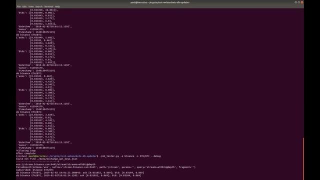 CCXT websockets: ccxt-websockets-db-updater demo смотреть онлайн