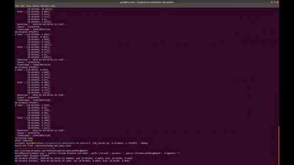 CCXT websockets: ccxt-websockets-db-updater demo